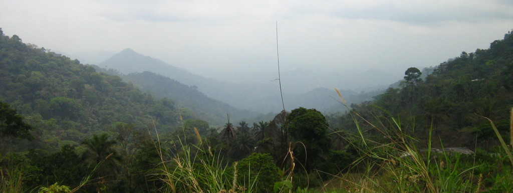 View from Njilap